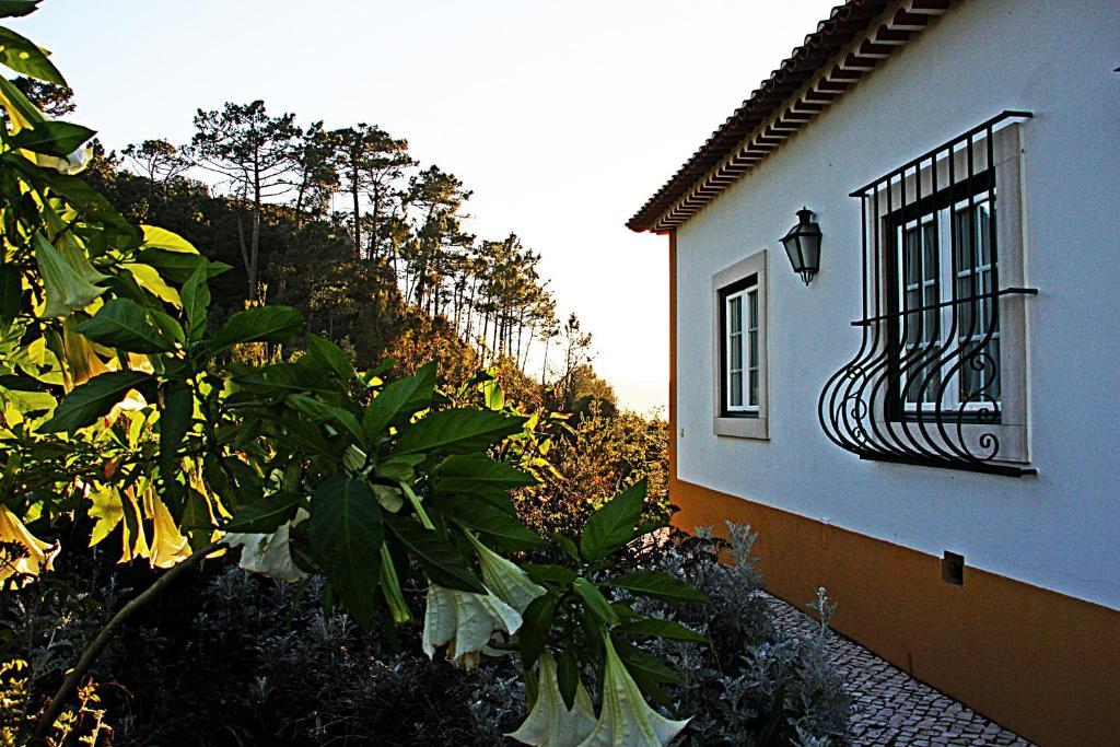 Quinta Da Torre - Obidos Country House Eksteriør billede