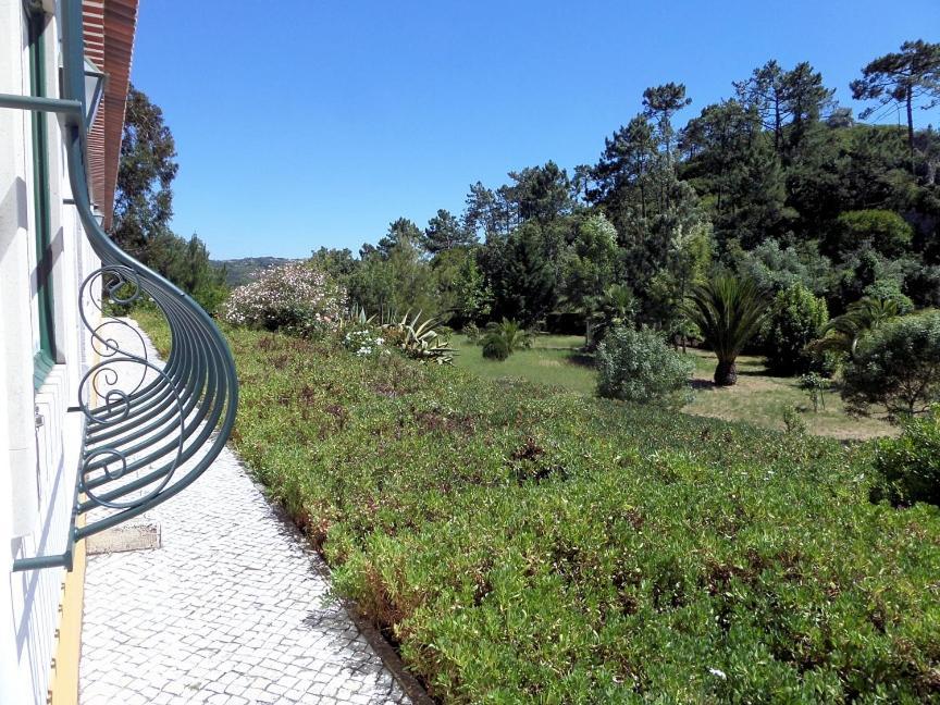 Quinta Da Torre - Obidos Country House Eksteriør billede